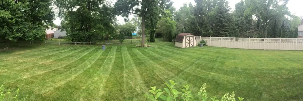 Professional yard maintenance experts serving Allen Park, MI - Muzzin Brothers