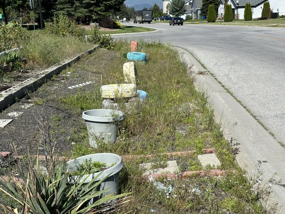 Professional yard cleanup service in Spokane, WA by MV Home Repair & Landscaping