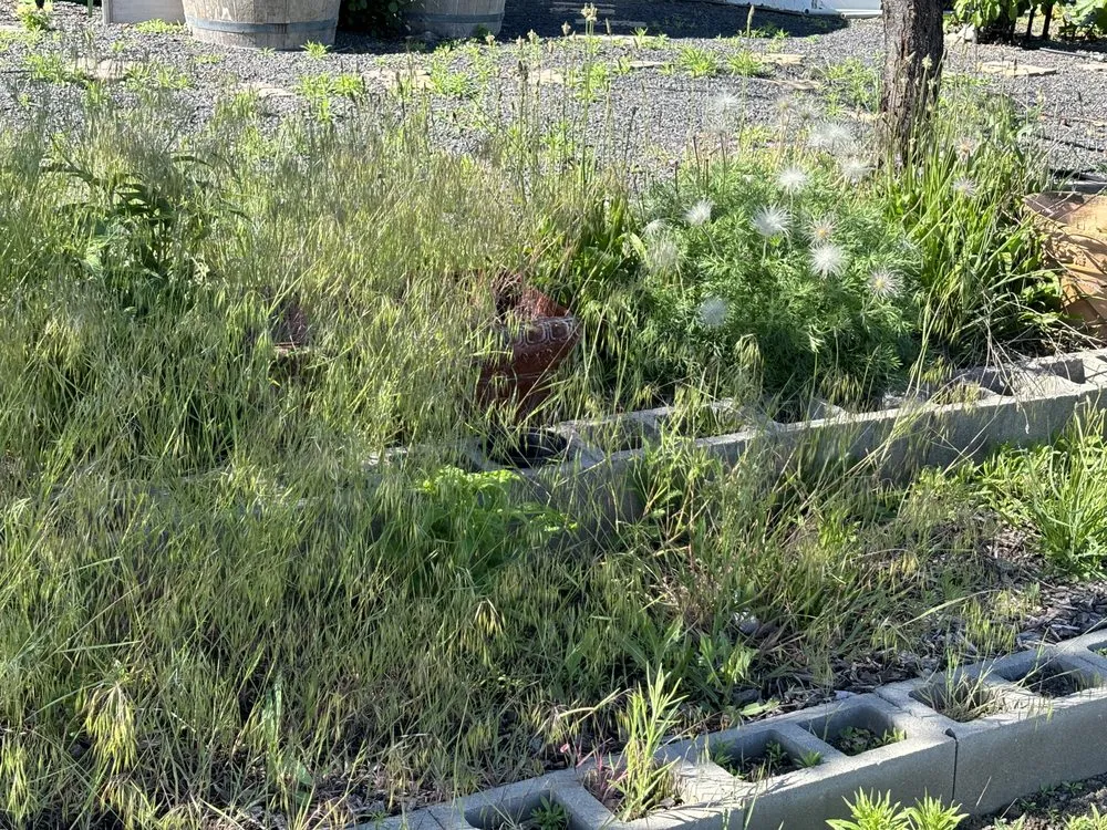 Expert lawn care service for year-round maintenance in Spokane, WA by MV Home Repair & Landscaping