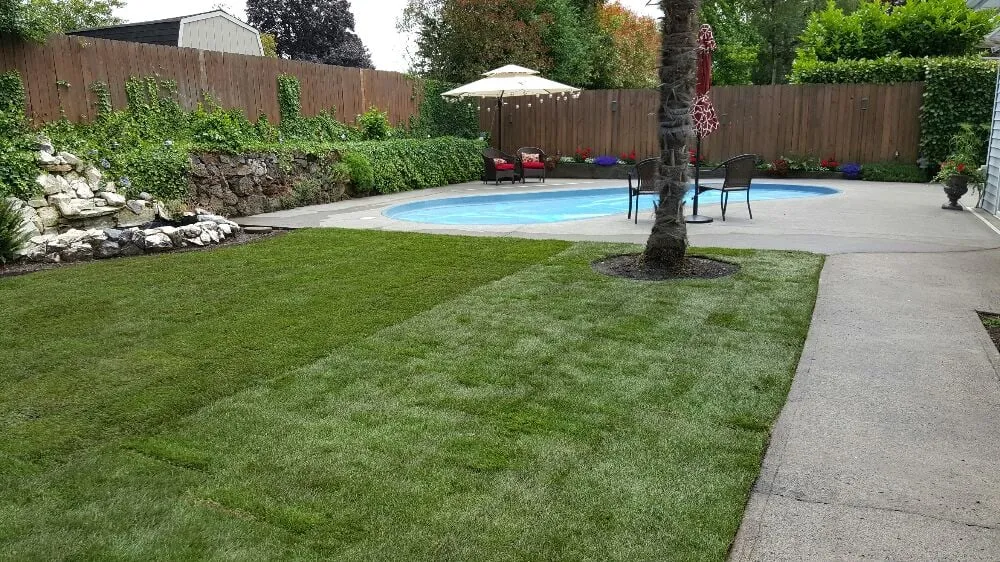 Top-rated landscape design in Vancouver, WA - MV Landscaping