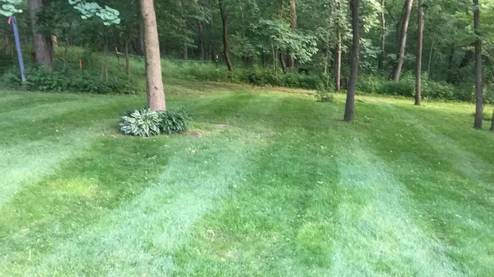 Affordable residential landscaping in Mount Vernon, IA - MV Lawn Maintenance