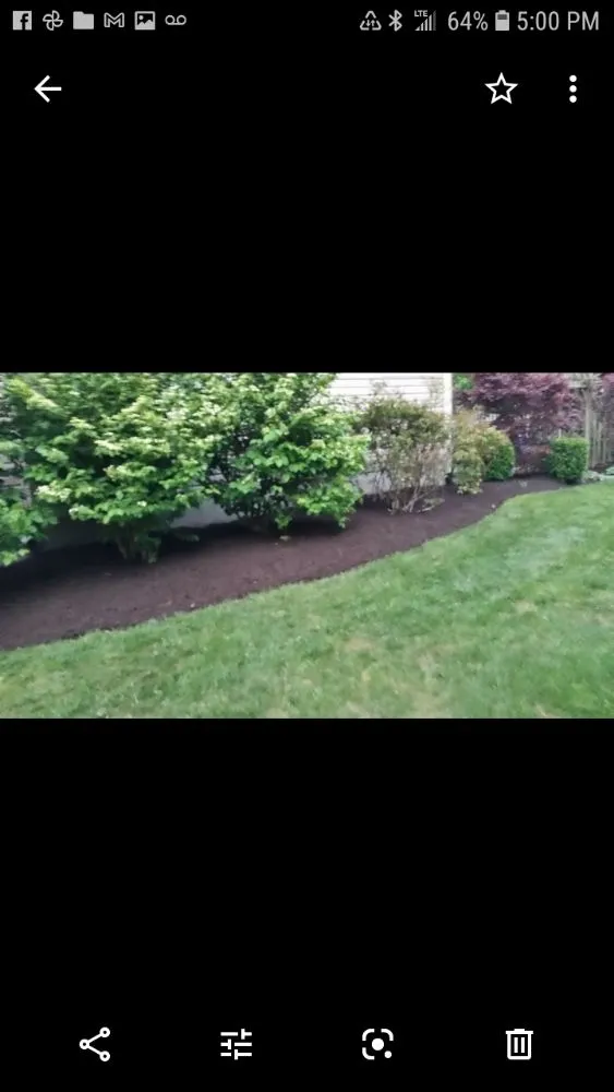 Custom yard cleanup service in Glen Burnie, MD by MV Lawns & Landscaping Maintenance