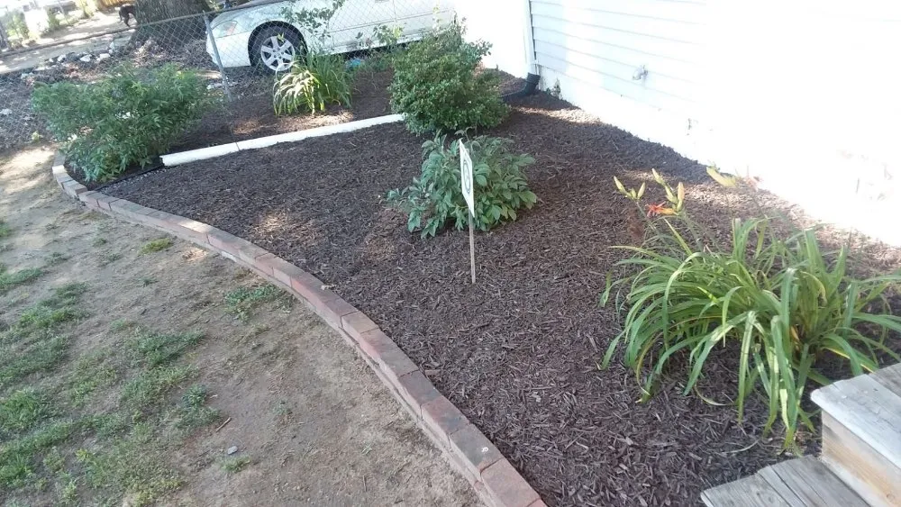 Affordable residential landscaping in Glen Burnie, MD by MV Lawns & Landscaping Maintenance