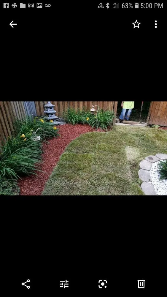 Trusted yard cleanup service in Glen Burnie, MD - MV Lawns & Landscaping Maintenance