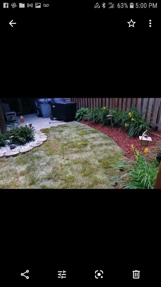 Professional residential landscaping for homes across Glen Burnie, MD - MV Lawns & Landscaping Maintenance