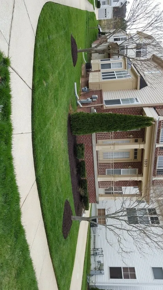 Expert landscape installation in Glen Burnie, MD - MV Lawns & Landscaping Maintenance
