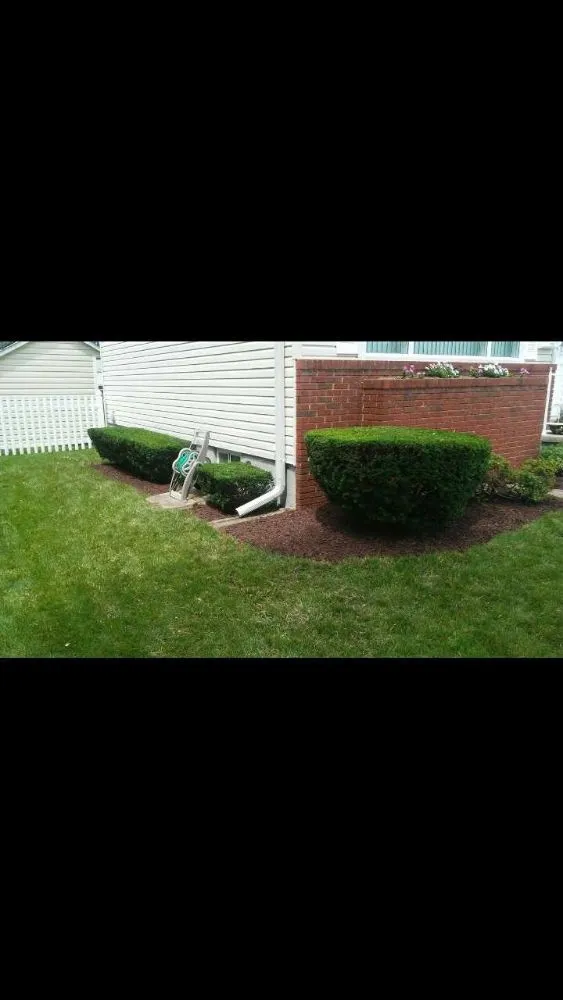 Trusted yard maintenance in Glen Burnie, MD by MV Lawns & Landscaping Maintenance