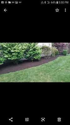 MV Lawns & Landscaping Maintenance Logo