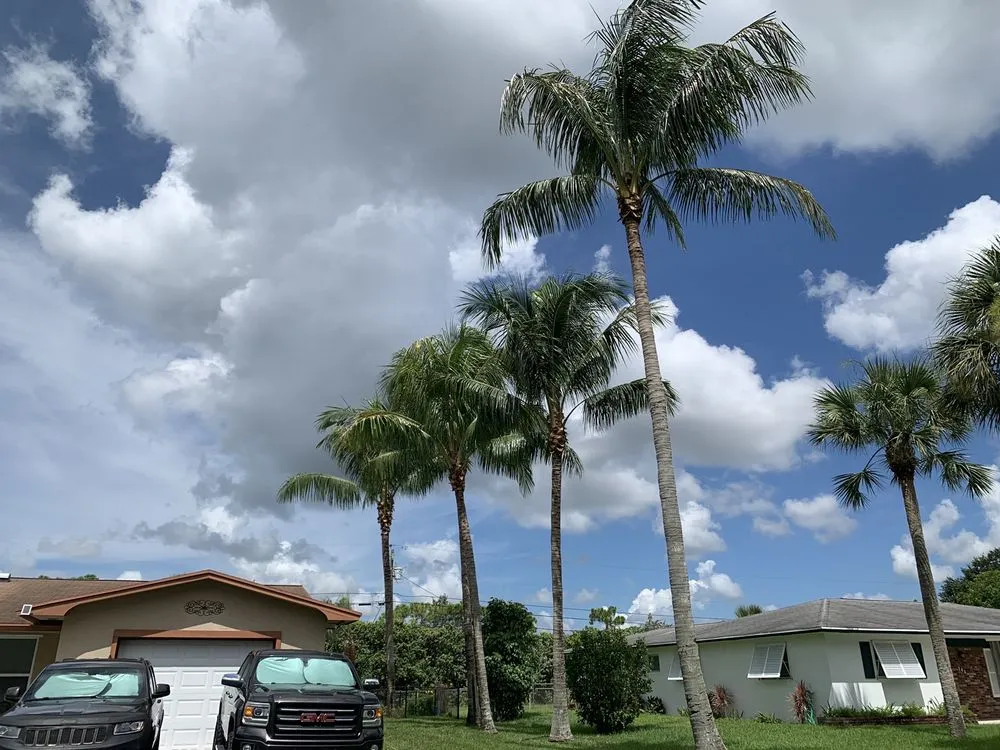 Local landscape installation in West Palm Beach, FL - MV Lopez Landscape