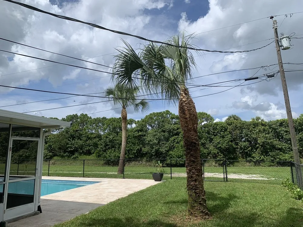 Affordable yard maintenance in West Palm Beach, FL by MV Lopez Landscape