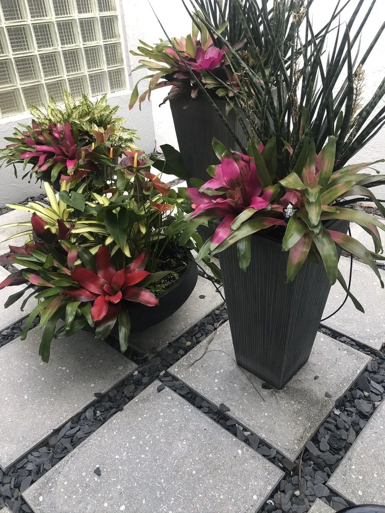 Custom landscape design for beautiful yards across West Palm Beach, FL - MV Lopez Landscape