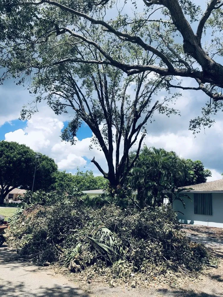 Top-rated landscaping services in West Palm Beach, FL by MV Lopez Landscape