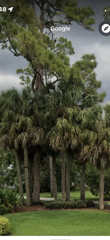 Custom landscaping services for beautiful yards across West Palm Beach, FL - MV Lopez Landscape