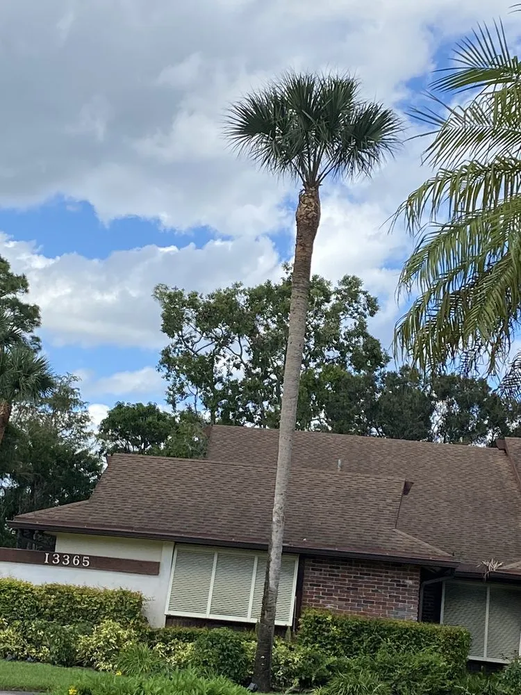 Trusted yard maintenance in West Palm Beach, FL - MV Lopez Landscape