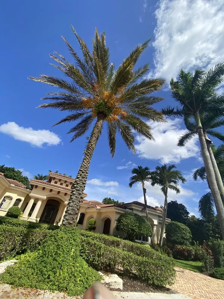 Custom landscape installation experts serving West Palm Beach, FL - MV Lopez Landscape