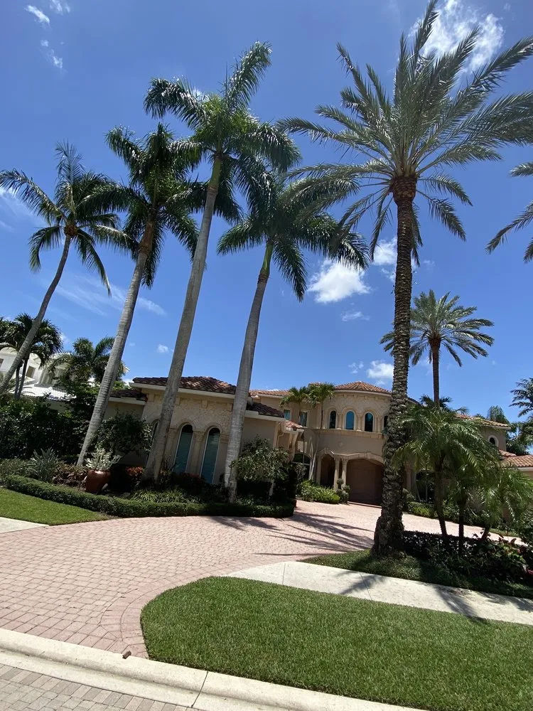 Top-rated landscaping services for year-round maintenance across West Palm Beach, FL - MV Lopez Landscape