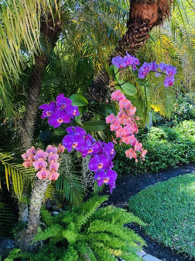 Local landscape installation with custom design across West Palm Beach, FL - MV Lopez Landscape