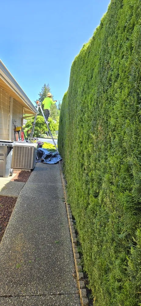 Custom yard maintenance for residential properties across Mount Vernon, WA - Mv Top Landscaper