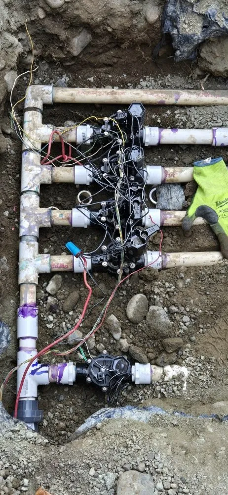 Affordable yard cleanup service in Mount Vernon, WA - Mv Top Landscaper