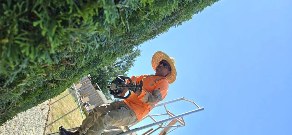 Custom landscaping services for homes across Mount Vernon, WA - Mv Top Landscaper