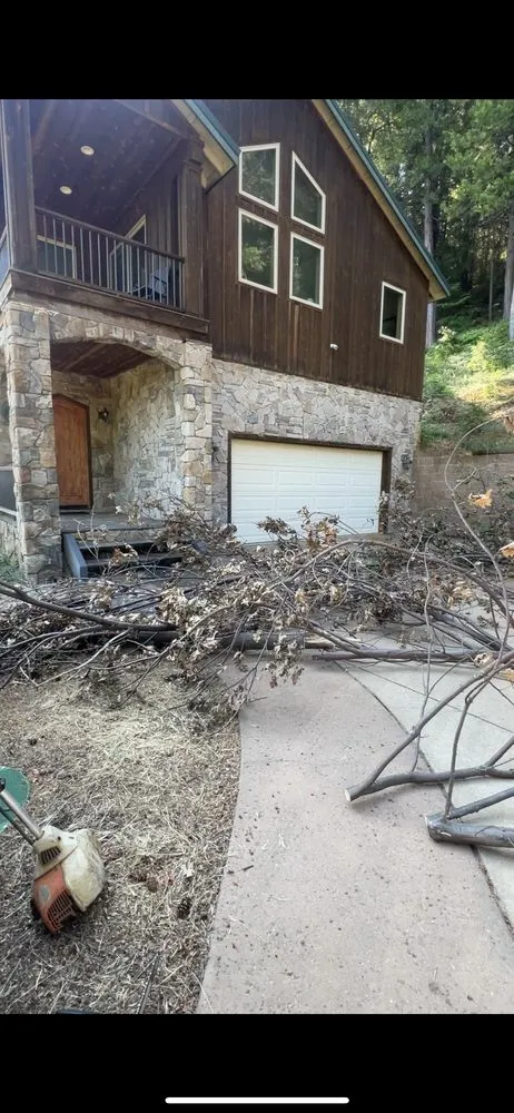 Professional yard maintenance for beautiful yards in Auburn, CA by MV Yard Maintenance