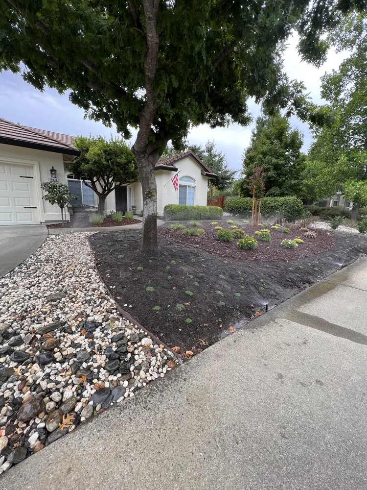 Reliable landscape installation in Auburn, CA by MV Yard Maintenance