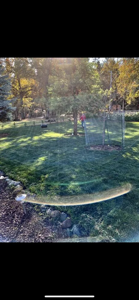 Expert landscape installation for homes across Auburn, CA - MV Yard Maintenance