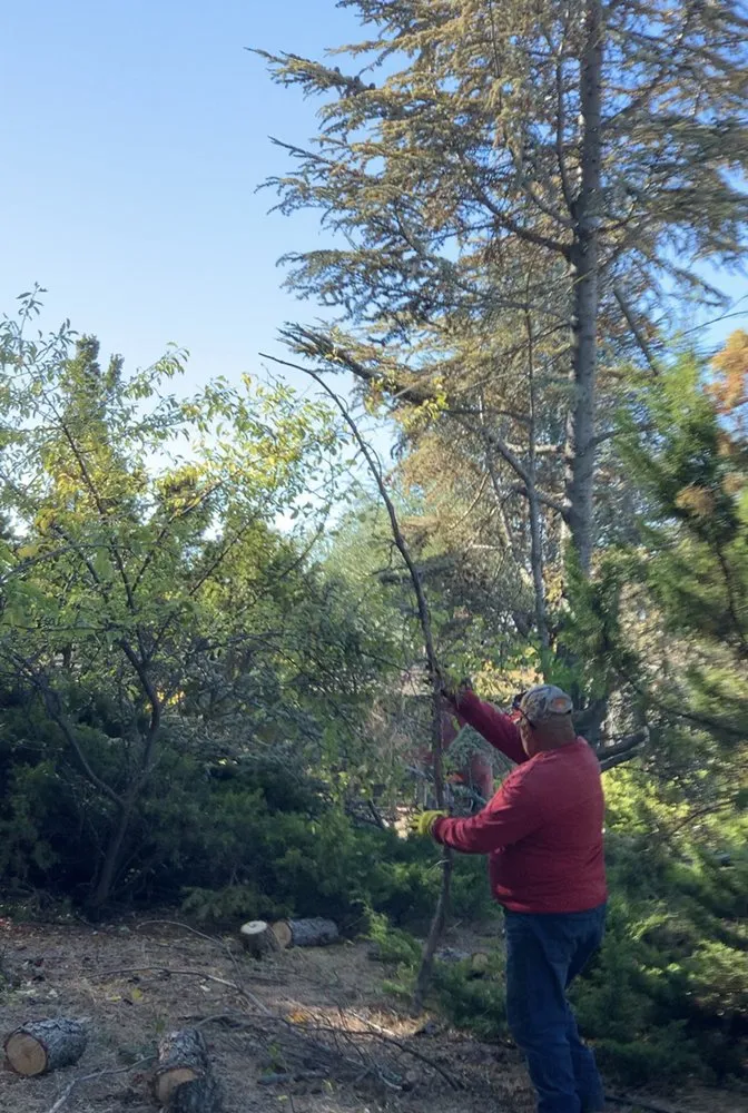 Reliable residential landscaping experts serving Auburn, CA - MV Yard Maintenance
