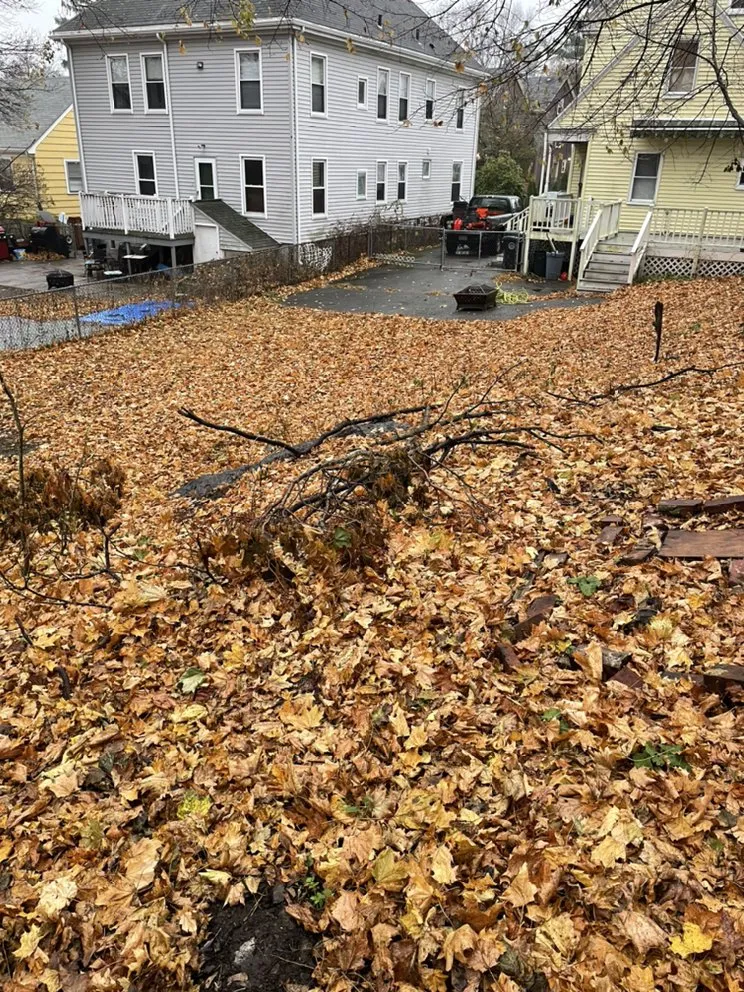 Custom landscape installation in Winthrop, MA - MVB Services