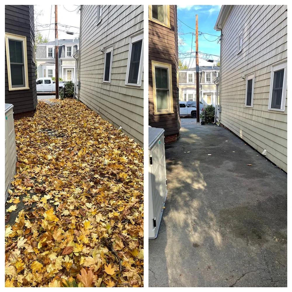 Professional lawn care service for outdoor upgrades in Winthrop, MA by MVB Services