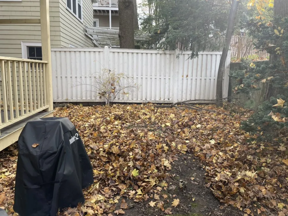 Local landscape design experts serving Winthrop, MA - MVB Services