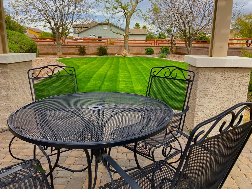 Local yard maintenance experts serving Mesa, AZ - MVI Landscaping and Construction