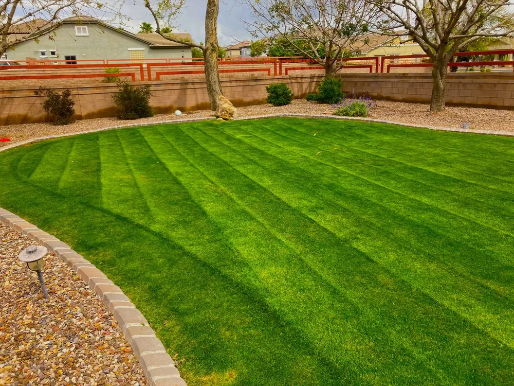 Affordable landscaping services near you in Mesa, AZ by MVI Landscaping and Construction