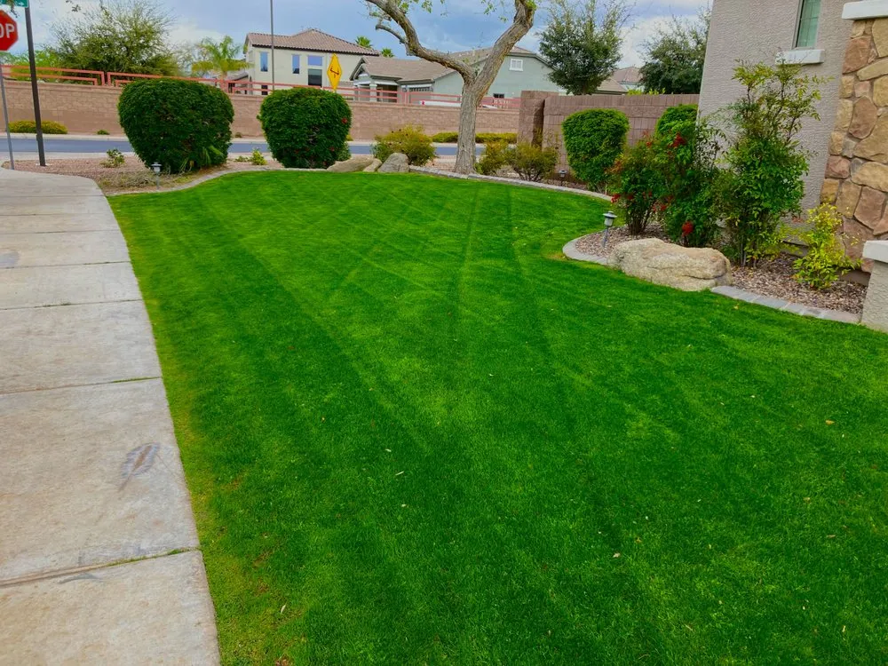 Top-rated outdoor landscaping near you across Mesa, AZ - MVI Landscaping and Construction