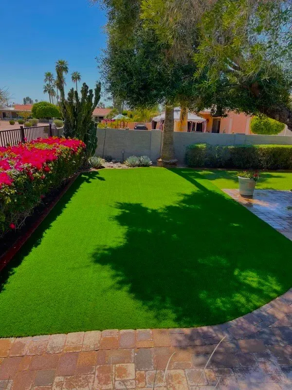 Professional landscape installation in Mesa, AZ - MVI Landscaping and Construction