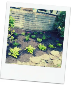 Expert outdoor landscaping near you in Rowley, MA by MVK Silt Sock