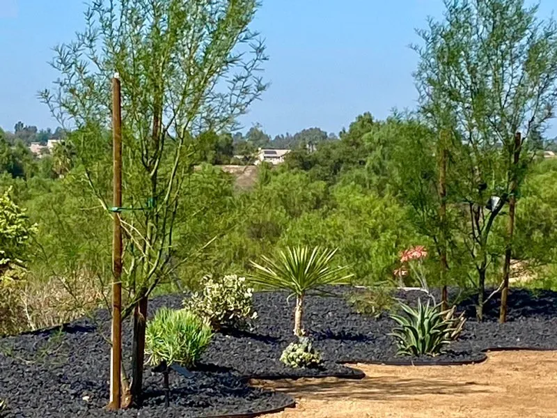 Trusted outdoor landscaping in Eastvale, CA by MVL Landscape