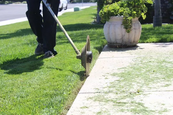 Top-rated lawn care service for beautiful yards across Eastvale, CA - MVL Landscape