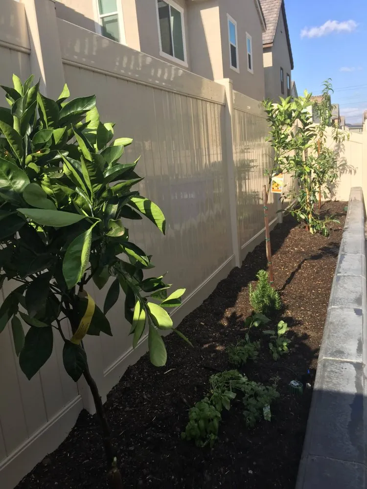 Trusted garden landscaping in Eastvale, CA by MVL Landscape