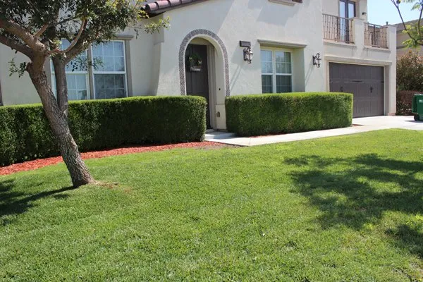 Local landscape installation in Eastvale, CA - MVL Landscape