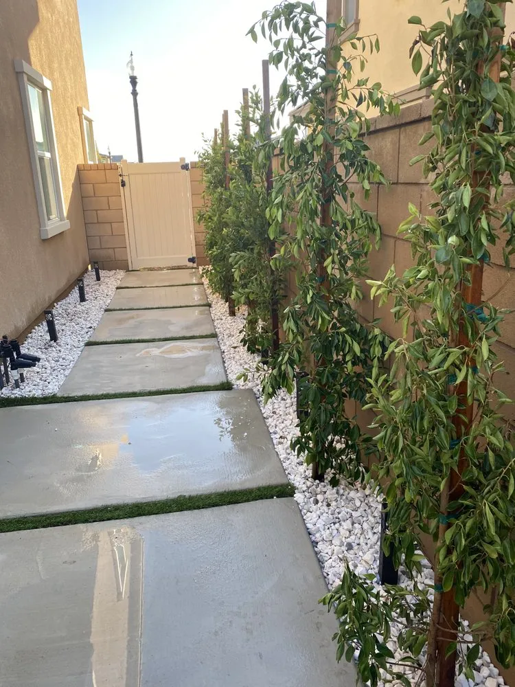 Local yard cleanup service for year-round maintenance in Eastvale, CA by MVL Landscape