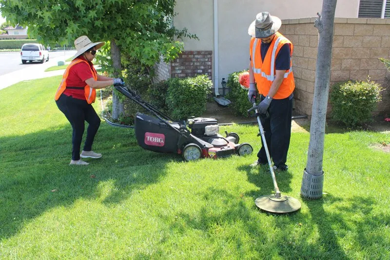 Trusted landscape design in Eastvale, CA by MVL Landscape