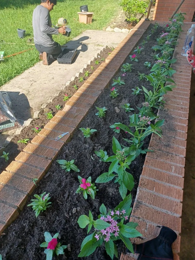 Custom landscaping services experts serving Houston, TX - Mvm Housekeeping and Landscape