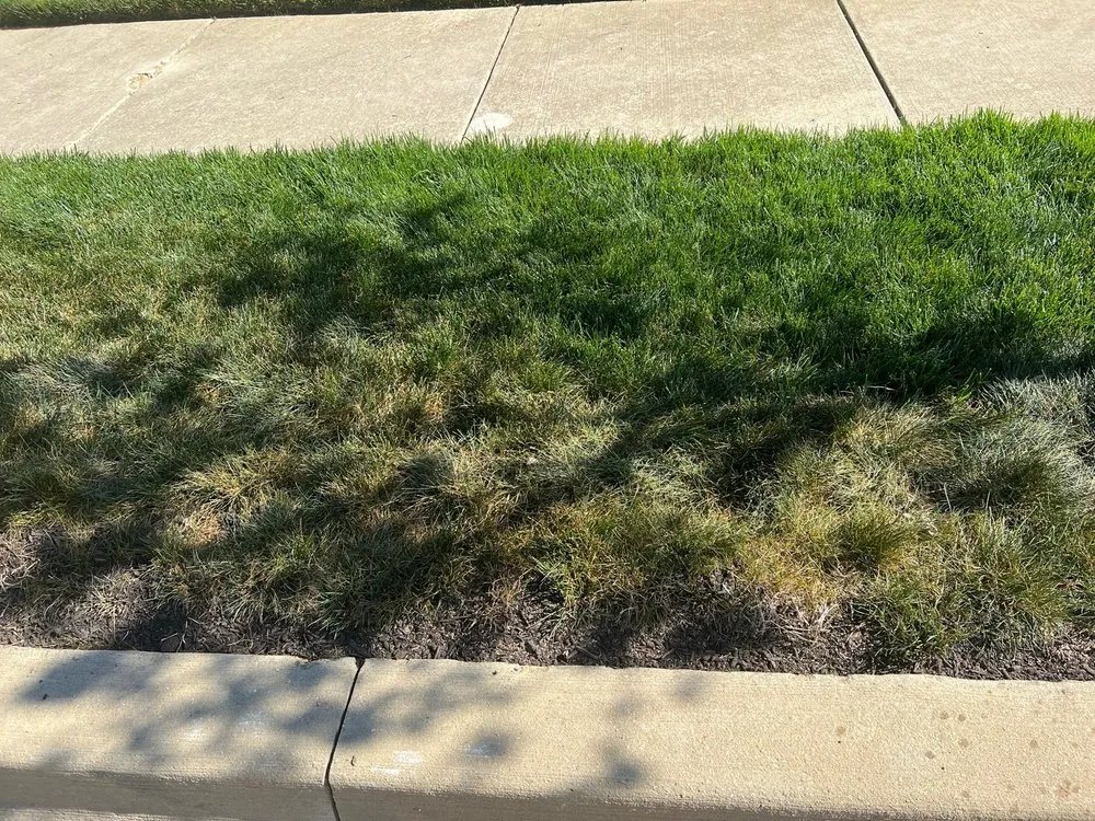 Trusted lawn mowing service for outdoor upgrades in Centreville, MD by MVP Irrigation