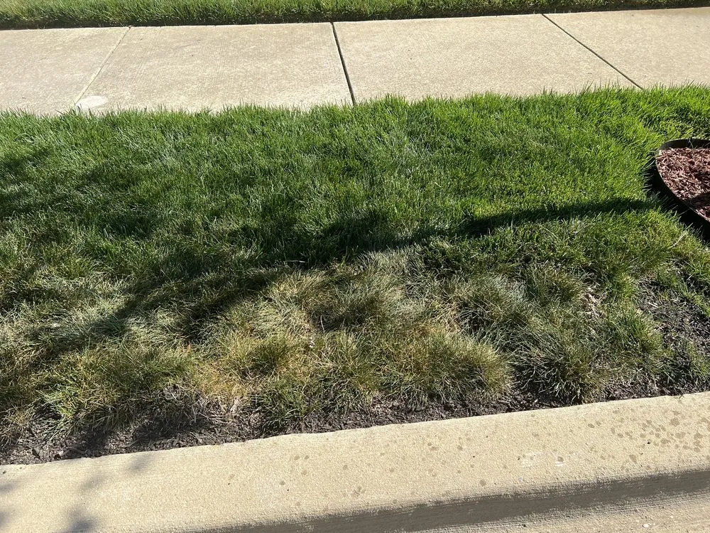 Custom lawn mowing service in Centreville, MD by MVP Irrigation