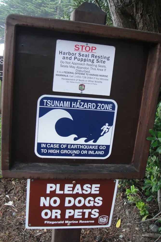 Top-rated garden landscaping for year-round maintenance across Centreville, MD - MVP Irrigation