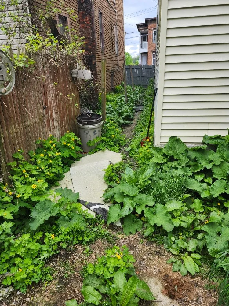 Local landscape installation for outdoor upgrades in Gloversville, NY by Mvp Landscaping