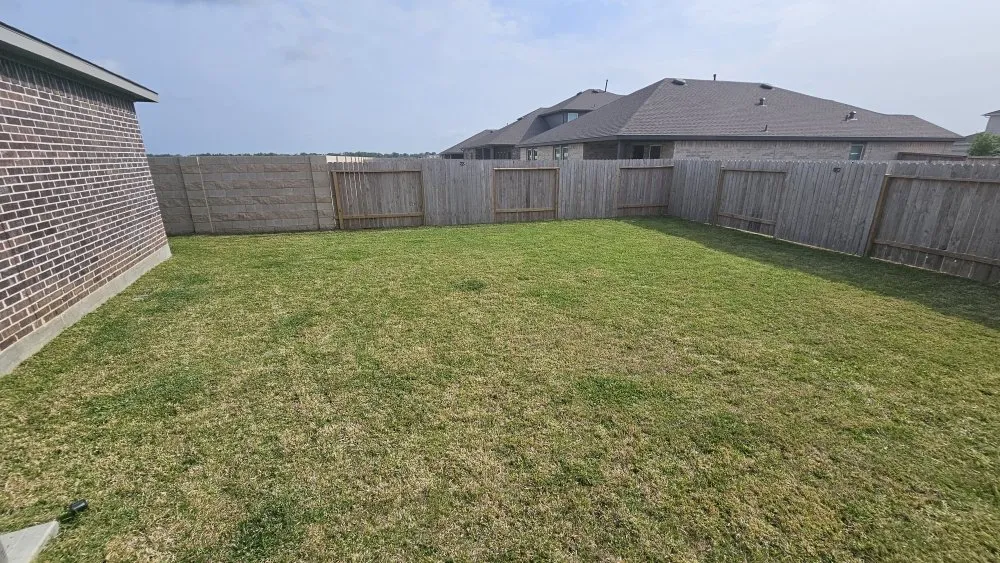 Trusted yard maintenance in Baytown, TX by MVP Lawncare Services