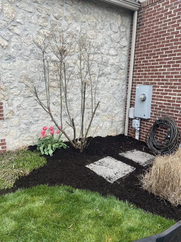 Top-rated yard maintenance in Morgantown, WV by MVP Maintenance