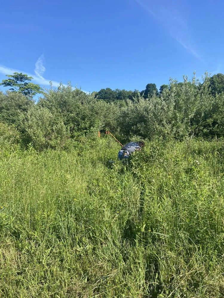 Reliable lawn care service in Morgantown, WV by MVP Maintenance